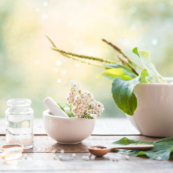 Illustrative image for Can Homeopathy Work for You? Everything You Need to Know