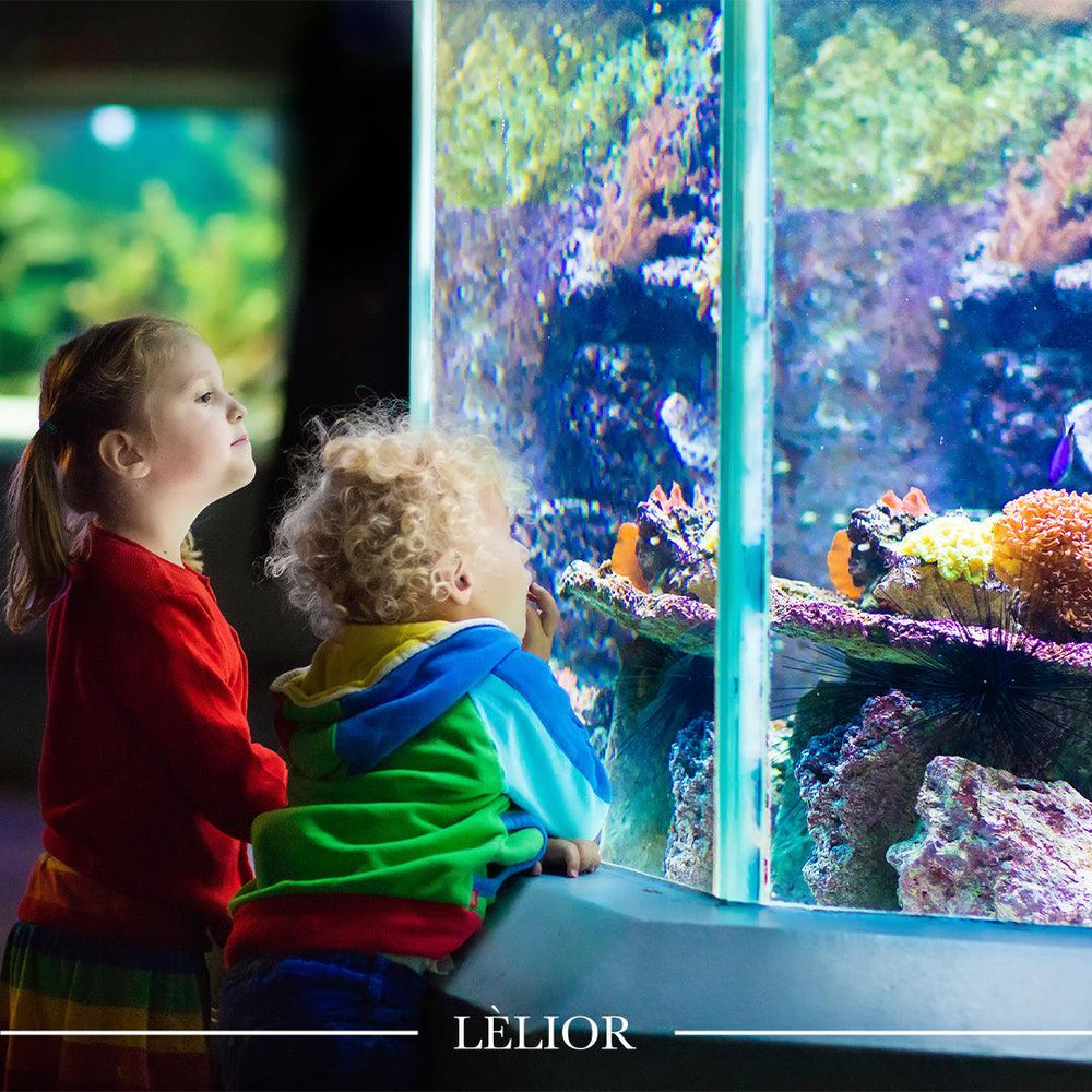 The Scent of Identity: