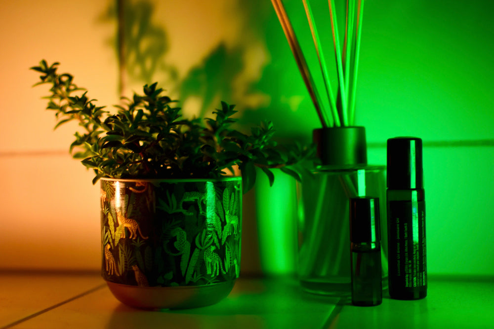 Eco-Friendly and Non-Toxic Office Fragrances: A Guide to Healthier Workspaces