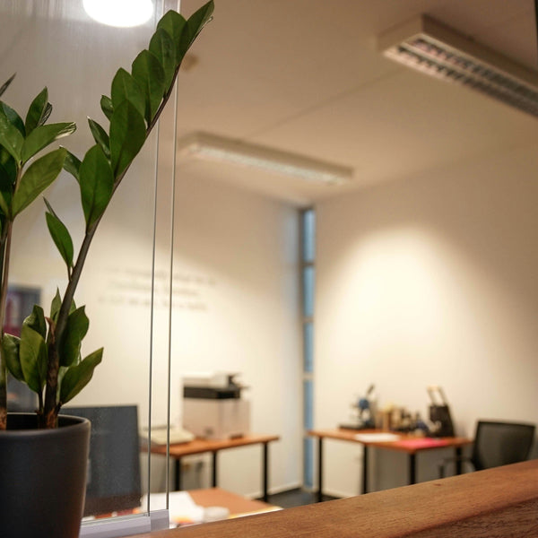 Illustrative image for Scent Marketing: How Businesses Use Aromatherapy to Attract and Retain Customers