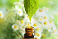 Skin Revival: 5 Essential Oils That Heal Winter Damage This Spring