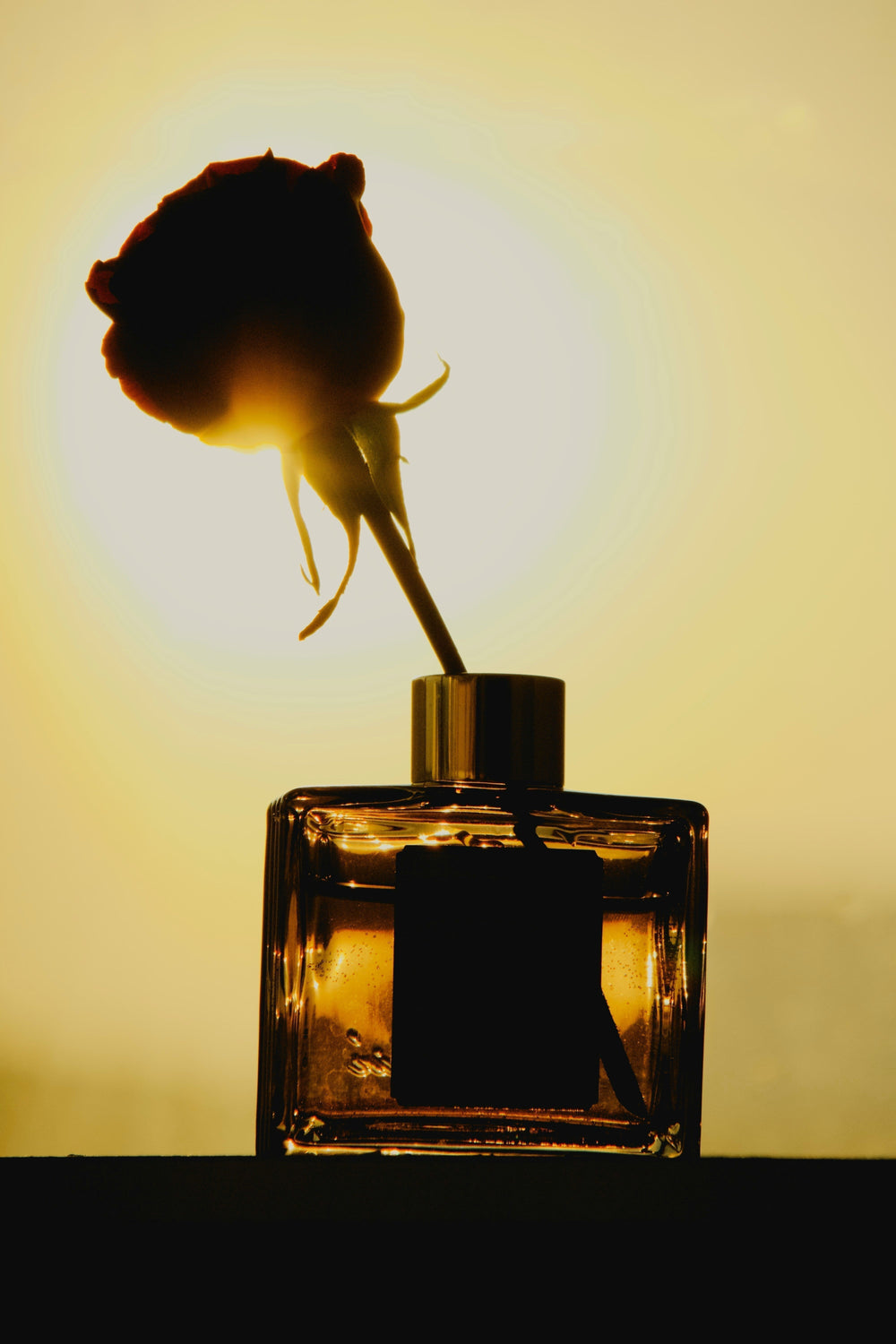 Building a Fragrance Wardrobe: A Comprehensive Guide