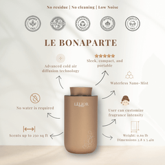 Le Bonaparte Diffuser Infographic- Champagne | Lèlior de Paris