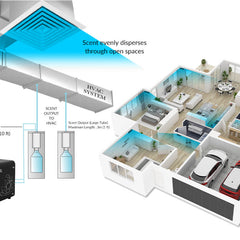 HVAC Diagram | Lèlior House of Fragrance