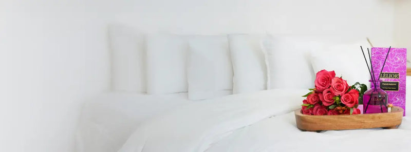 Banner Image for Mobile