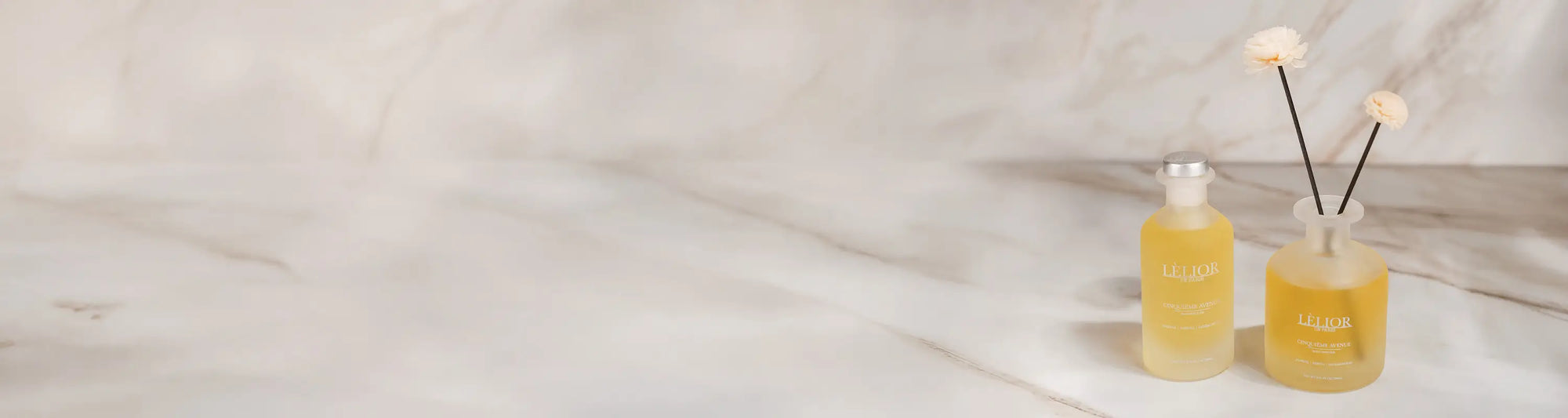 Banner Image for Desktop