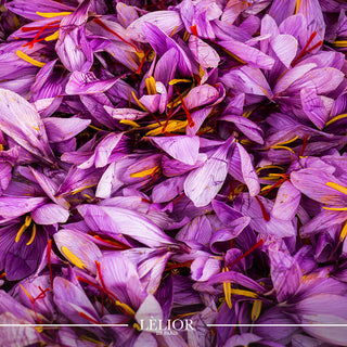 Saffron: The Golden Elixir of Perfumery