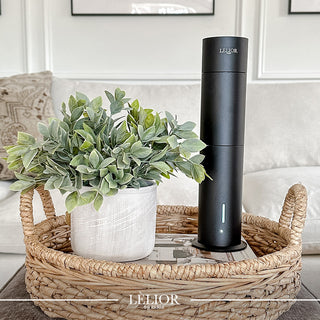 Scent Styling 101: Elevate Your Home Décor with Lèlior's Stylish Diffuser Designs