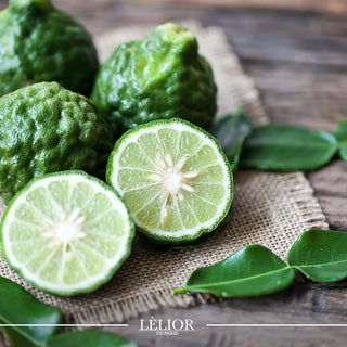 From Orchard to Bottle: The Journey of Bergamot in Perfumery