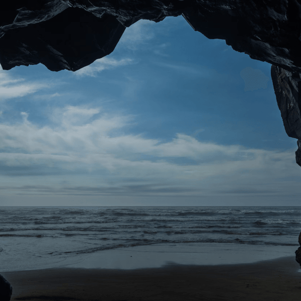 Illustrative image for Finding Natural Scent Inspiration in Unexpected Places