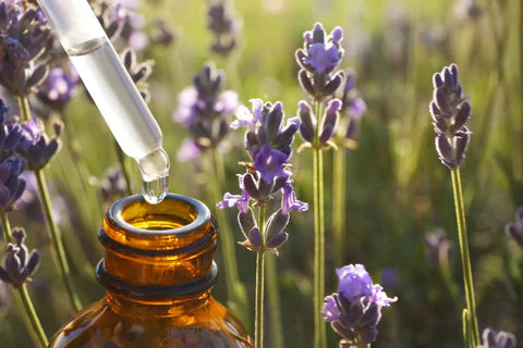 Illustrative image for The Psychology Behind Seasonal Fragrance Preferences