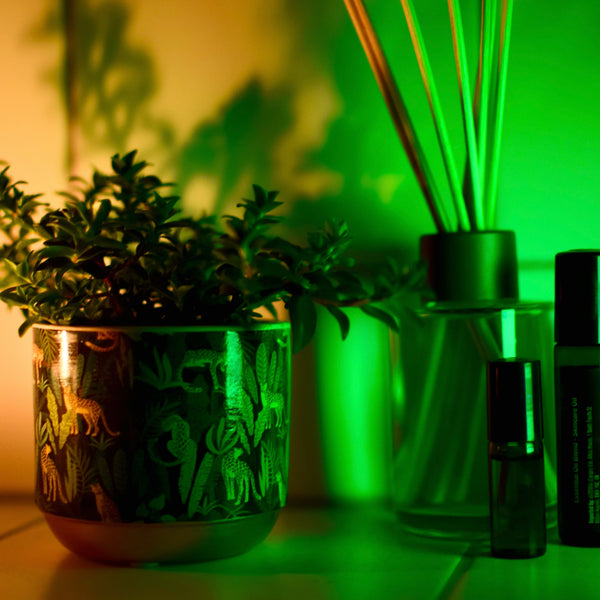 Illustrative image for Eco-Friendly and Non-Toxic Office Fragrances: A Guide to Healthier Workspaces