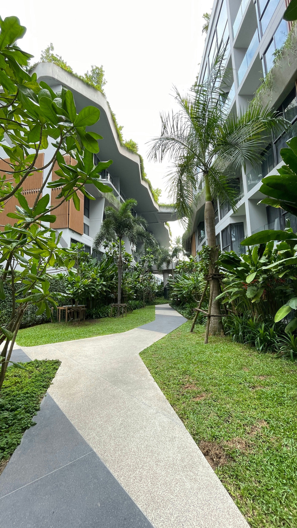 Nature-Inspired Wellness Trends in Hotels: 2025