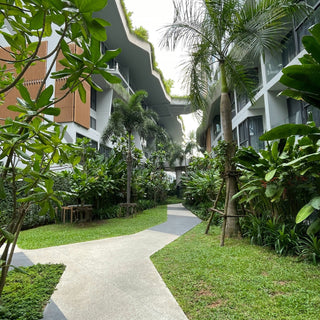 Nature-Inspired Wellness Trends in Hotels: 2025