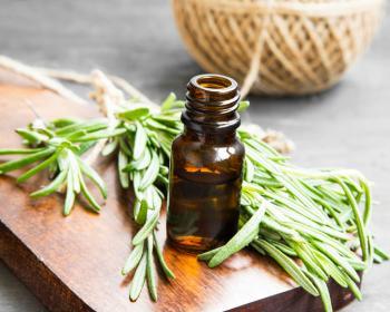 Illustrative image for Essential Oils for ADHD: Natural Support for Focus, Concentration and Attention