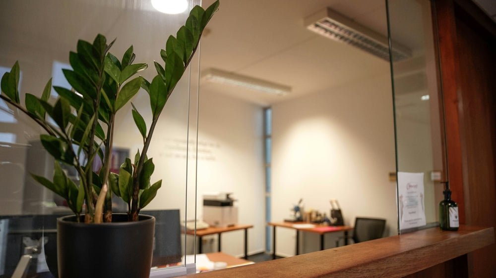 Scent Marketing: How Businesses Use Aromatherapy to Attract and Retain Customers