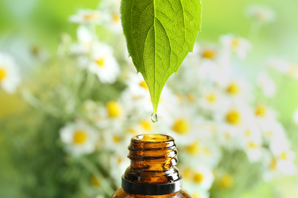 Skin Revival: 5 Essential Oils That Heal Winter Damage This Spring