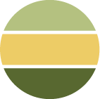 Champs Élysées / 2ml