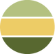 Champs Élysées icon