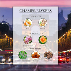 Champs Elysees Top, Middle and Base Notes | Lélior de Paris