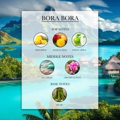 Bora Bora Top, Middle and Base Notes | Lélior de Paris