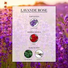 Lavande Rose Top, Middle and Base Notes | Lèlior de Paris