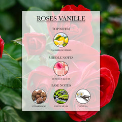 Roses Vanille Top, Middle and Base Notes | Lèlior de Paris