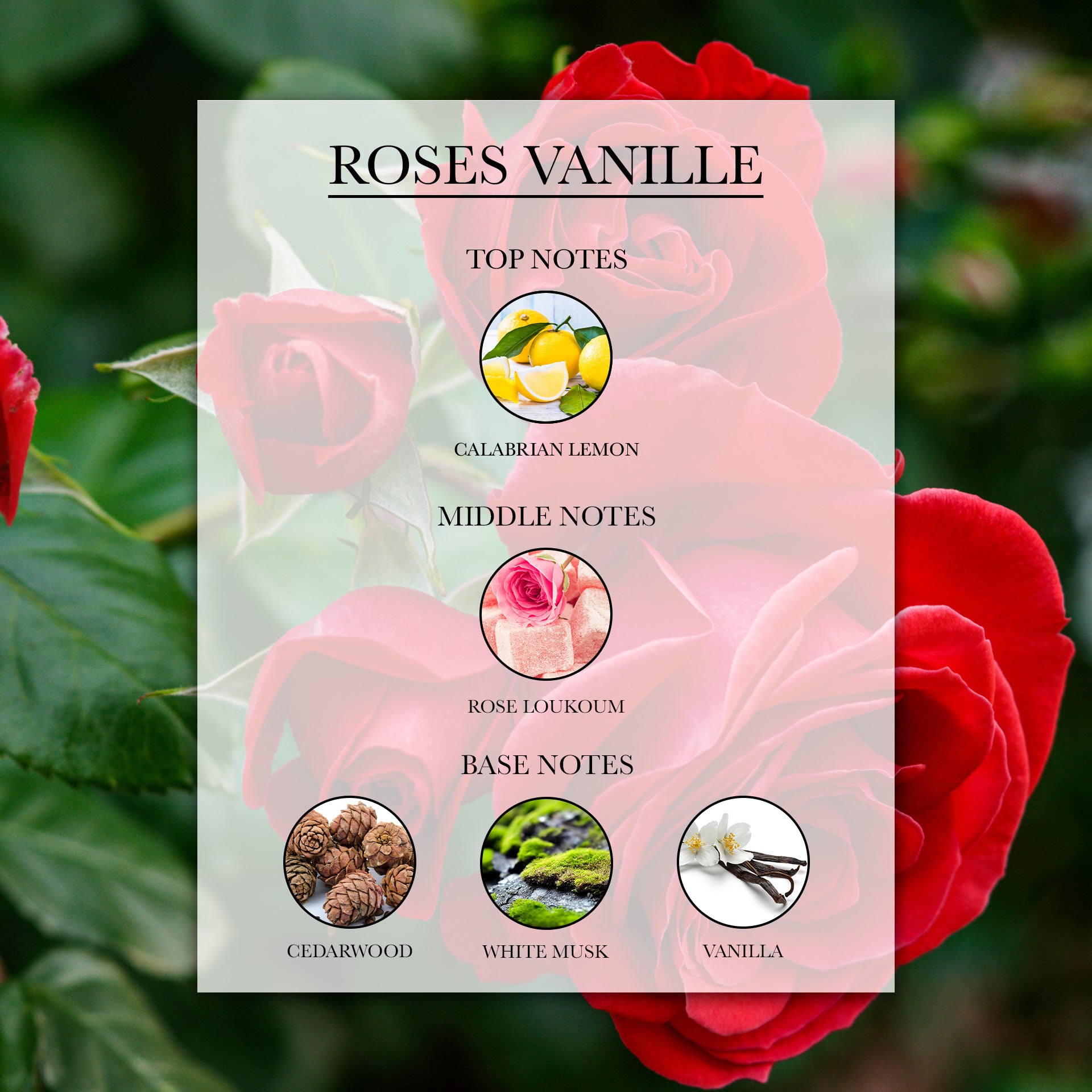 Difusor de varillas Roses Vanille