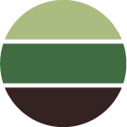 Minted Pear Confit / 2ml