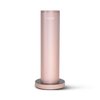 Rose Gold icon