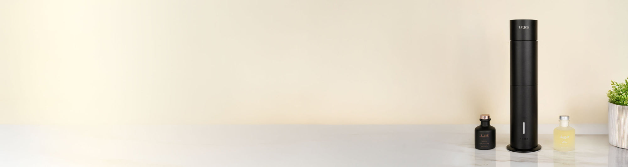 Banner Image for Desktop