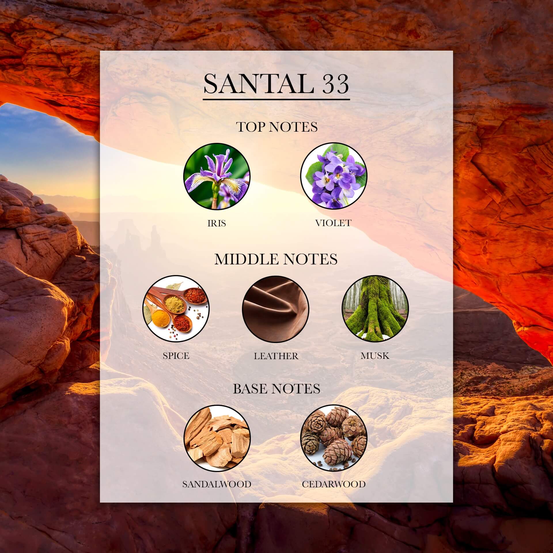 Santal 33 Fragrance Oil