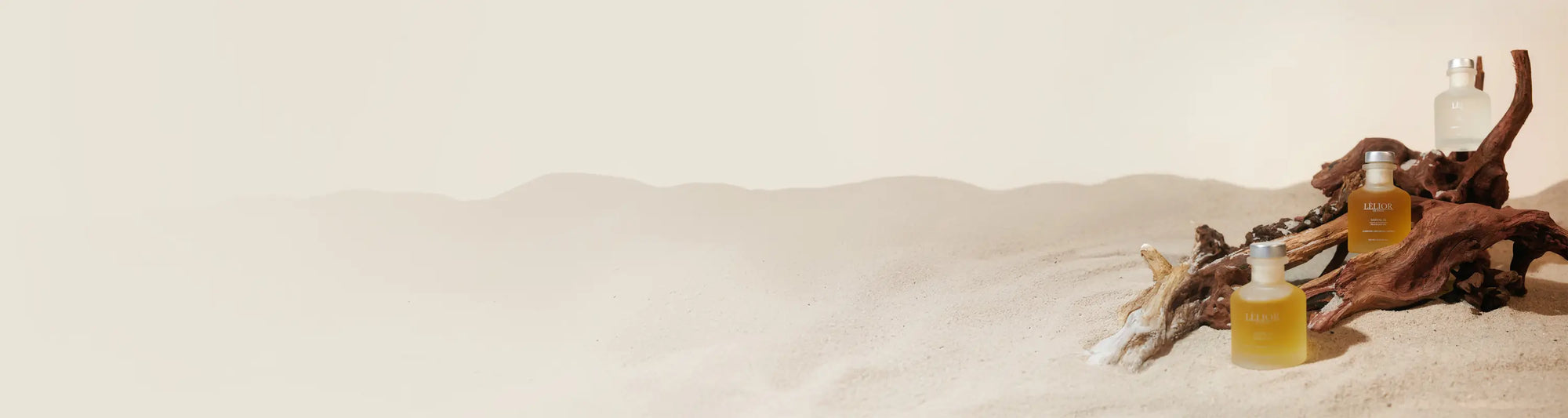 Banner Image for Desktop